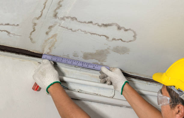 Reliable Mold Remediation contractor in Oak Ridge, FL by Water Damage Irwin
